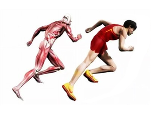 會(huì)影響持續鍛煉身(shēn)體的(de)要素