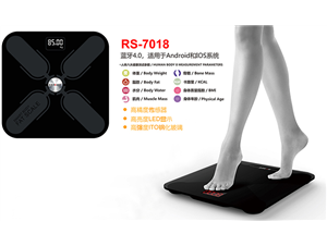WHR subdivision body fat scale measurement