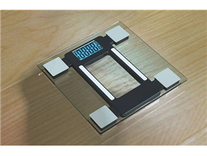 廣東脂肪秤廠家